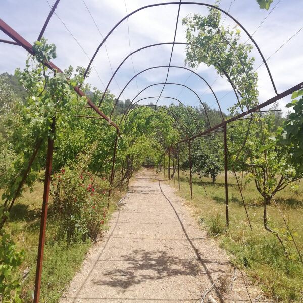 Deep Afkule Camp photo 3