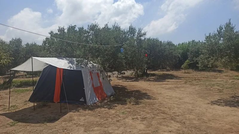 Avsha Camping photo 3