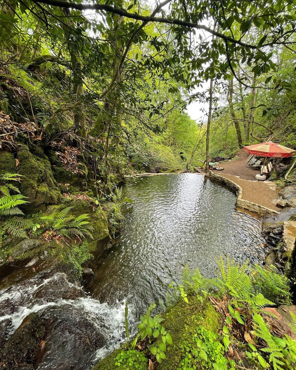 Begoni Pansiyon&Bungalov photo 3