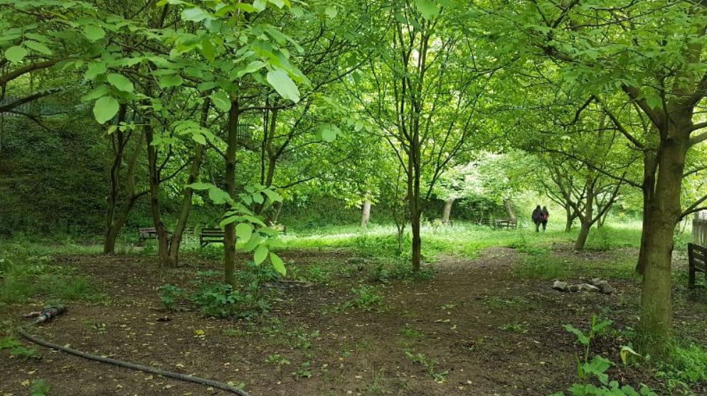 Walnut Garden Camp Area - Photo 3