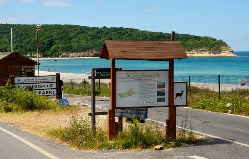 It's a locksmith's Nature Park. photo 4