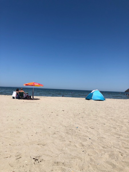Sculpture Beach photo 4