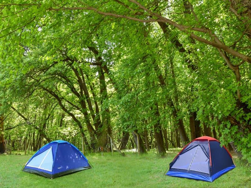 Camping with Diary photo 4