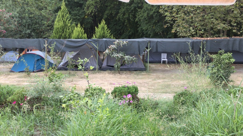 Camping with Diary