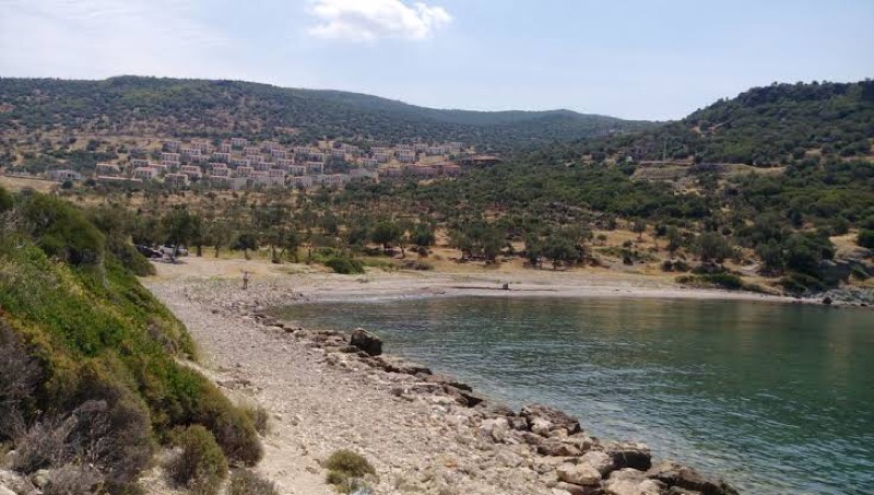 Hayıtlı Koyu photo 4