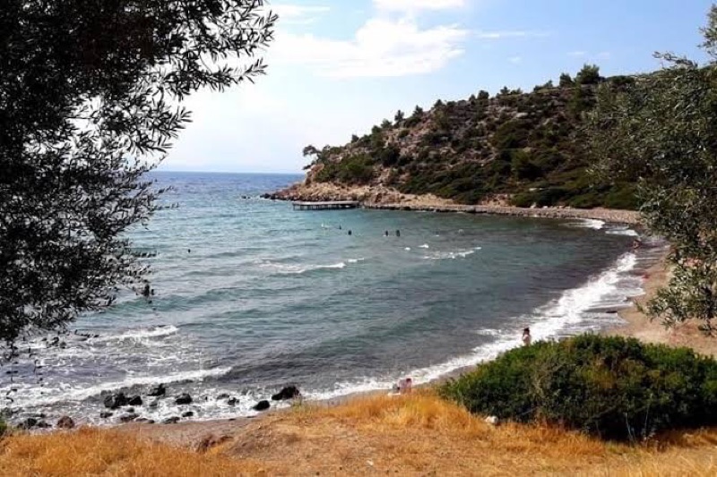 Hayıtlı Koyu photo 3