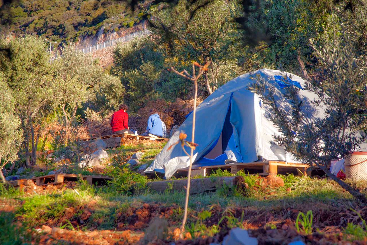 Eyebrow Universe Camping photo 5