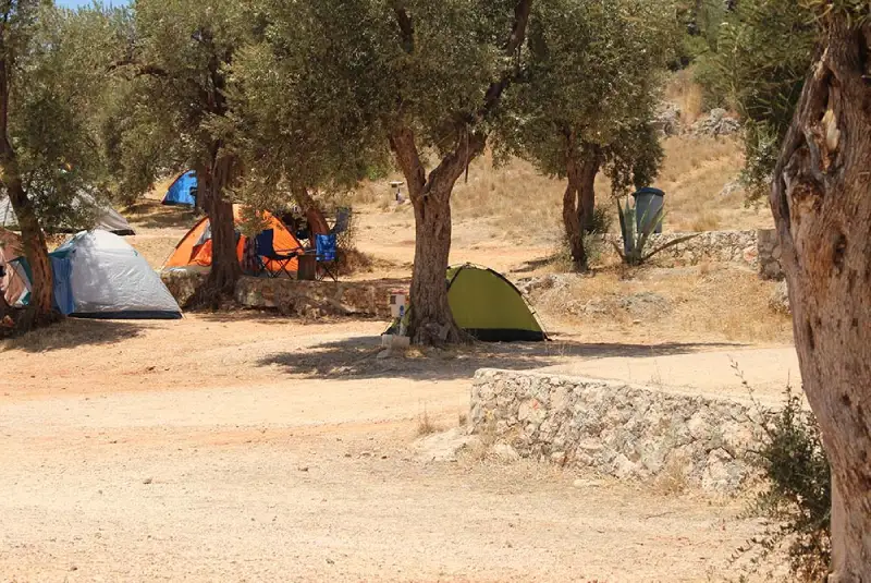 Kash Kamping photo 4