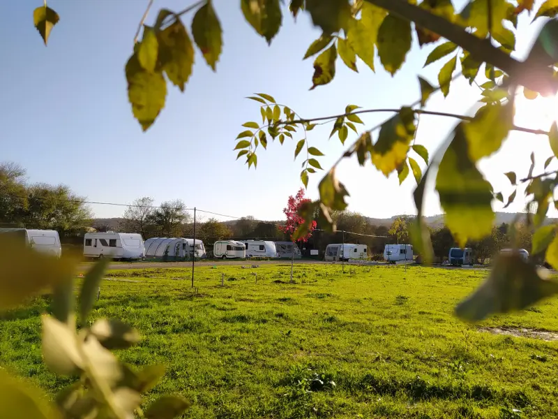 Hedgehog Camping RV Park - Photo 3