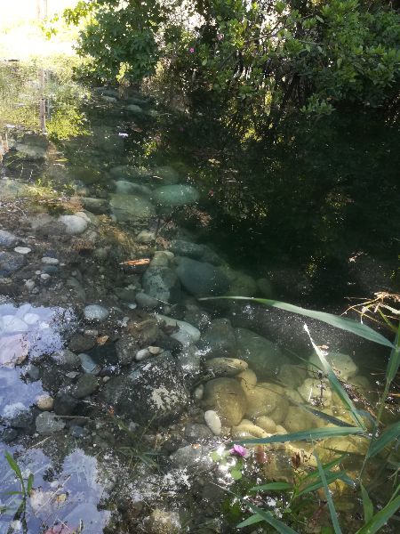 Camp Lotus Dalyan photo 4