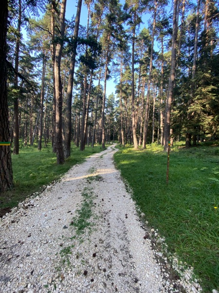 MounTRain photo 4