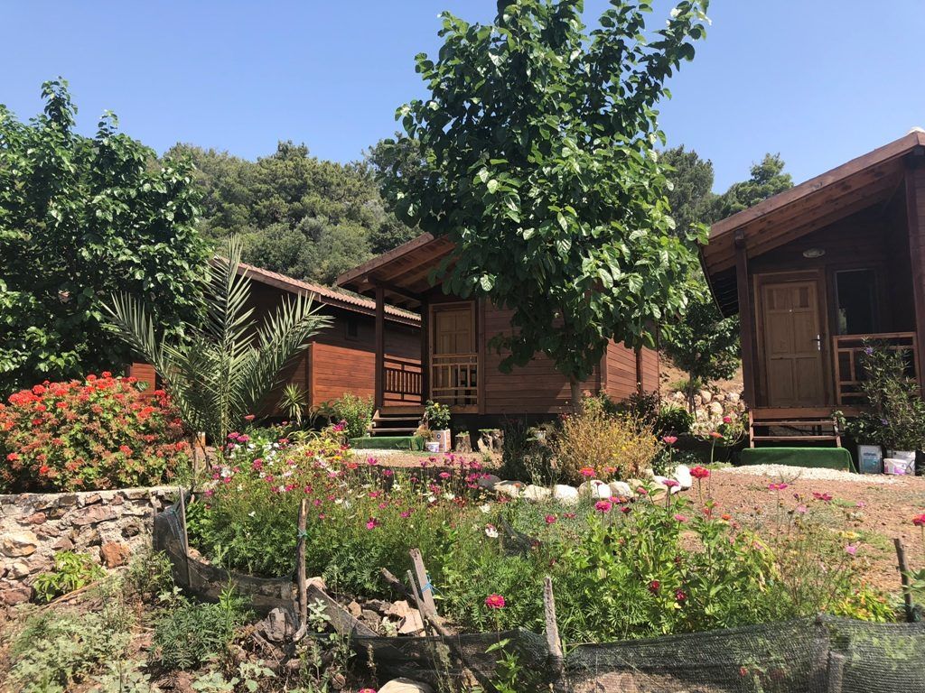 Olimpos Altıntaş Pansiyon photo 4