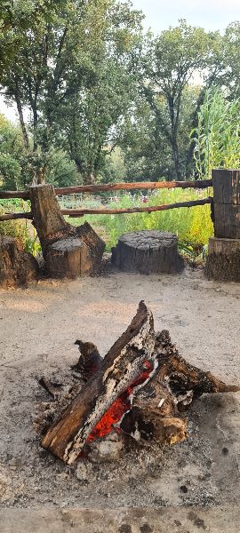 Safari House photo 4