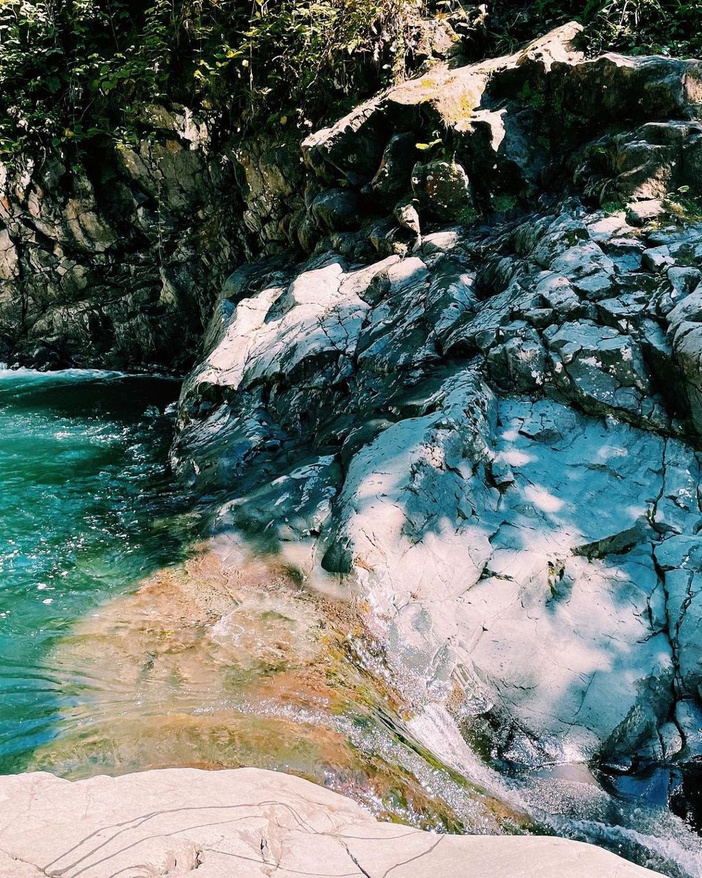 Şana Yaşam Köyü photo 3