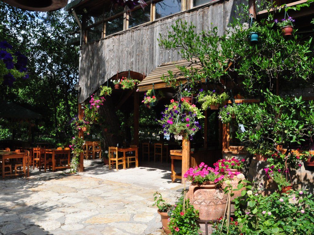 Olimpos Türkmen Ağaç Evleri photo 2