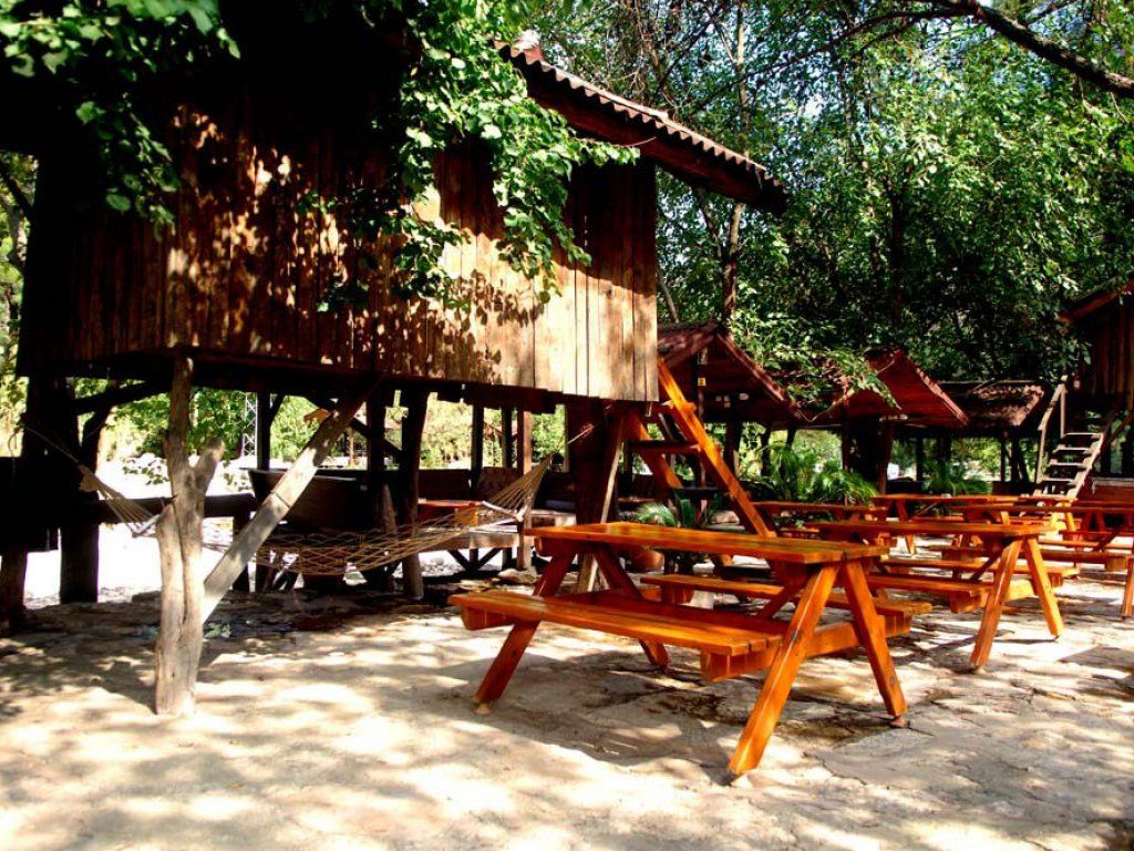 Olimpos Türkmen Ağaç Evleri photo 3