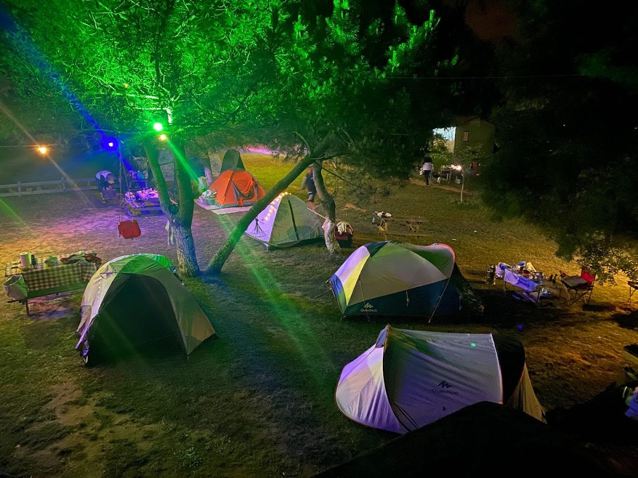 Bella Camp photo 5