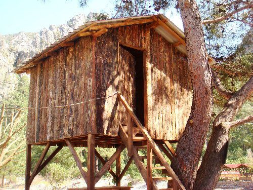 Saban Pansion Treehouses photo 2