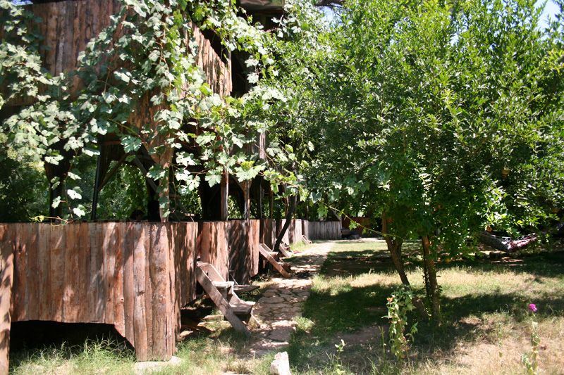 Olympos Çamlık Pansiyon photo 4