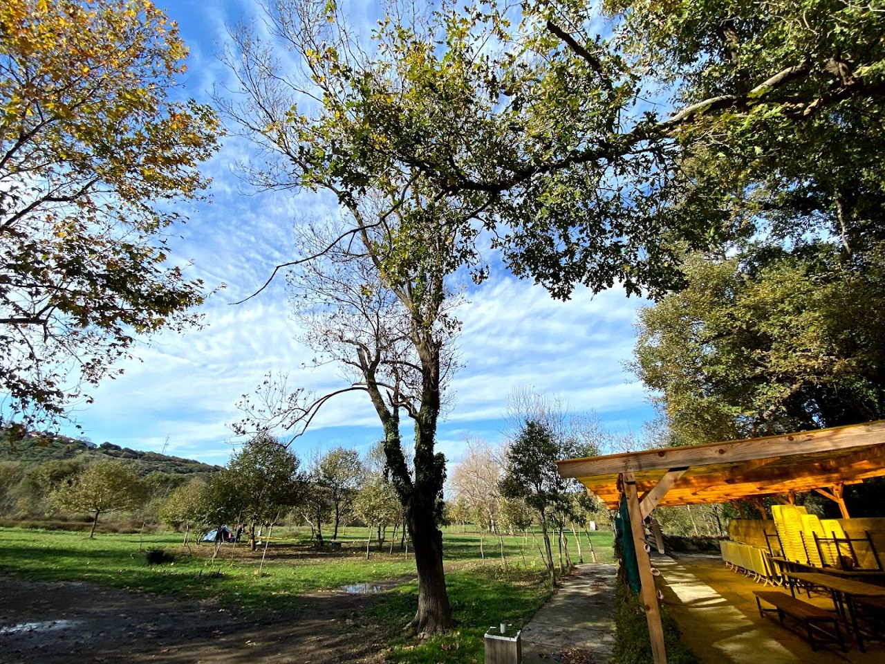 Kilyos School of Nature - Photo 3