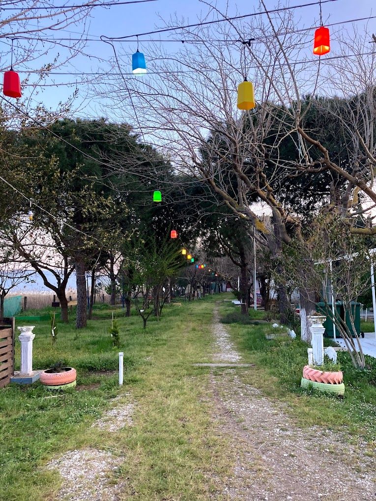 Sky Camping photo 3