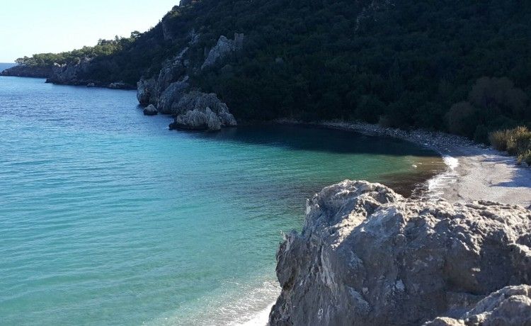 Olympos Çamlık Pansiyon photo 5