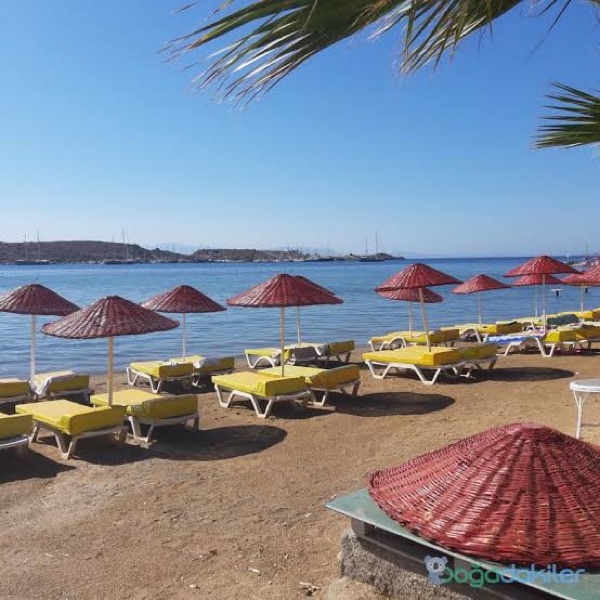 Zetaş Camping photo 3