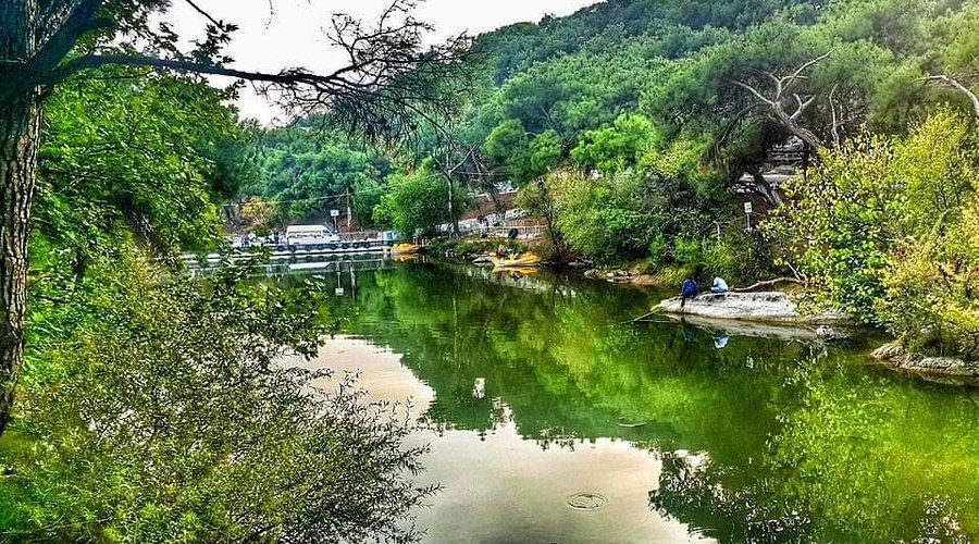 Oliveliova Lake Forest Park photo 2